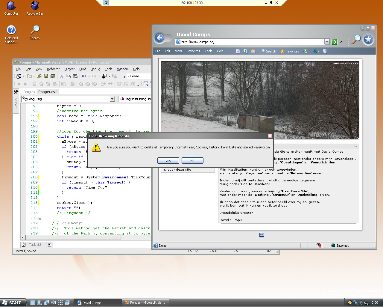 IE Clear Browsing Records with Visual Studio Whidbey behind it